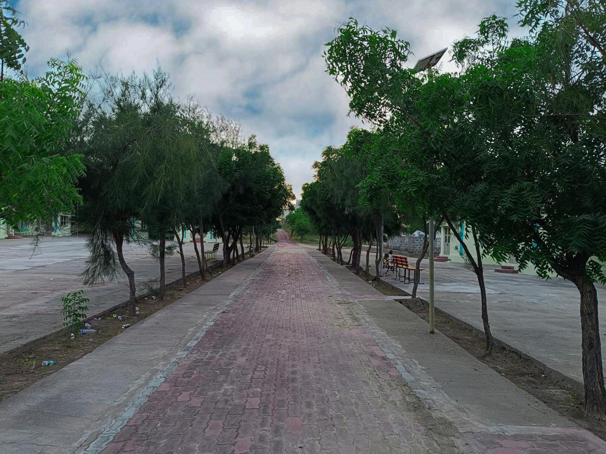 Hotel Rann Of Kachchh Dholavira Екстер'єр фото